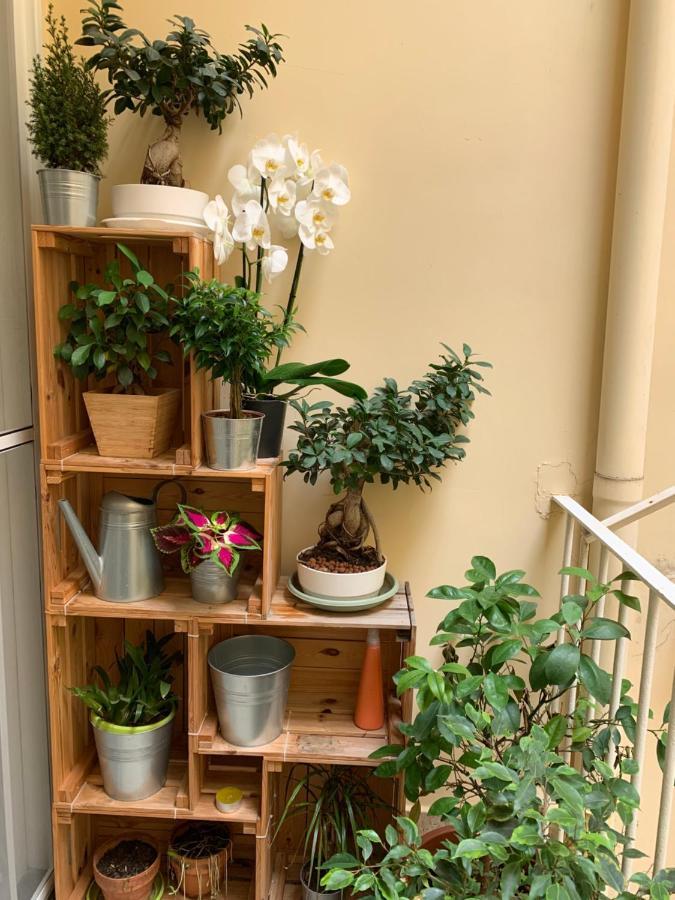Apartment Raroom Boutique