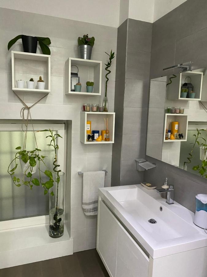 Apartment Raroom Boutique